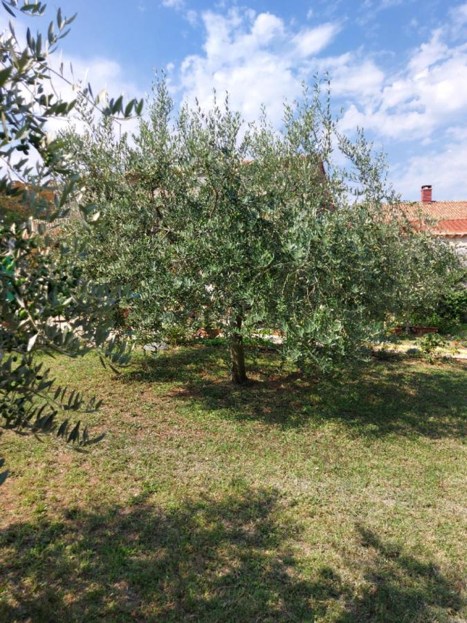 Apartment Apartments Marija Umag