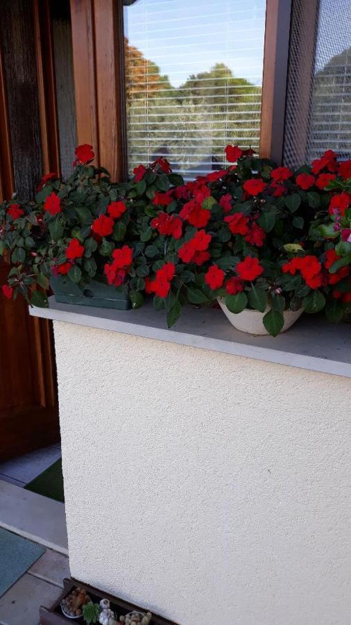 Apartments Marija Apartment Umag